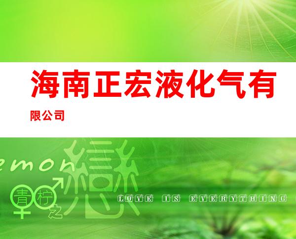海南正宏液化气有限公司